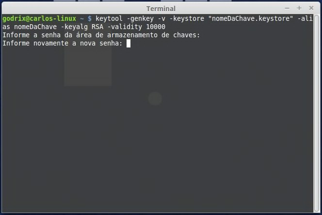 tela com o comando keytool -genkey -v -keystore nomeDaChave.keystore -alias NomeChave -keyalg RSA -validity 10000